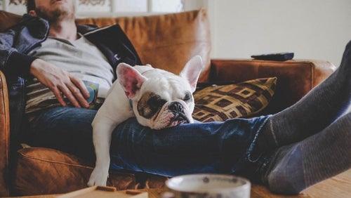 ¿Por qué son tan importantes los días de descanso?