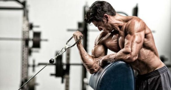 flexiones de biceps