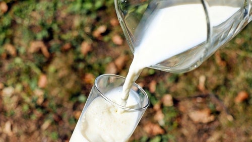 ¿Qué es la proteína de la leche?