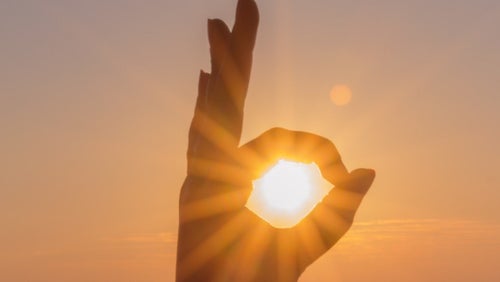 5 Alimenti ad Alto Contenuto di Vitamina D