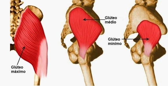 exercícios para glúteo