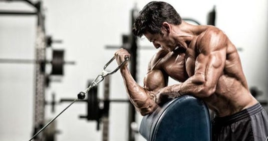 exercícios de bicep Curl Scott