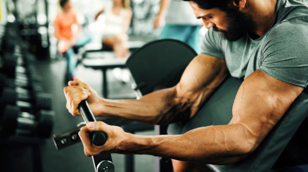 As 7 Melhores Dicas De Nutrição Para Musculação