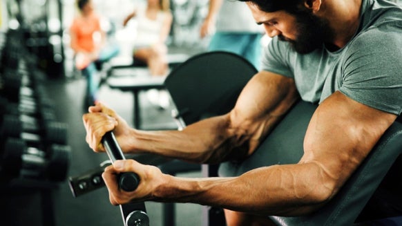As 7 Melhores Dicas De Nutrição Para Musculação