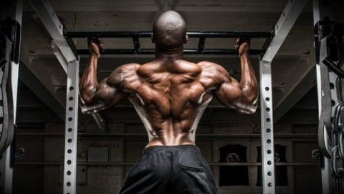 Pull-Up Guide En Progressie plan