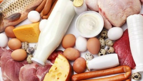 Eiwit Uit Dierlijke Producten | Dierlijke Eiwitten