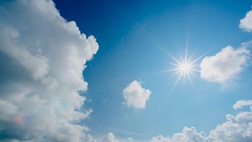 Vitamine D | Wat is het? Voordelen, bronnen en de symptomen bij een tekort