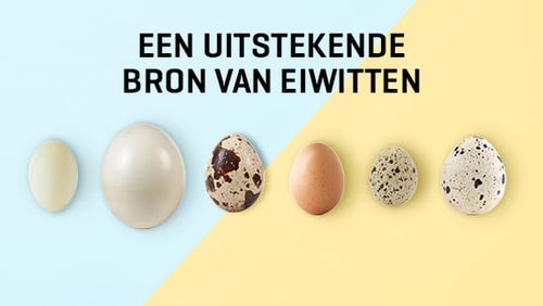 Paasspecial: Eieren!