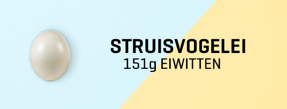 580x220 N_L
