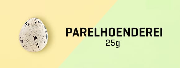 580x220 NL