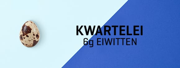 580x220 NL-1