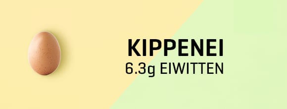 580x220 NL-2