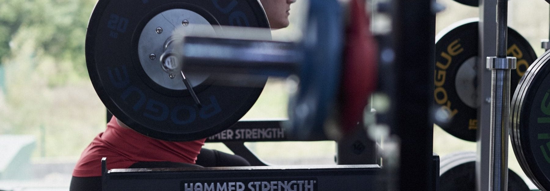 squat back squat