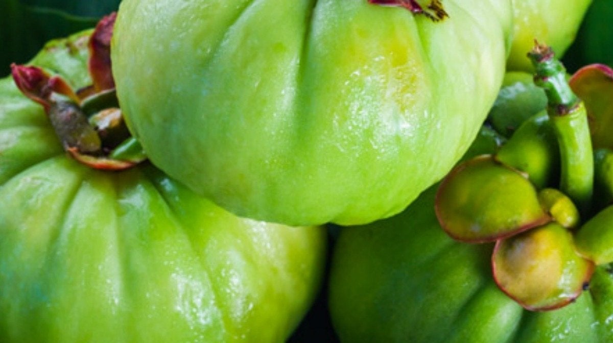 De voordelen van Garcinia Cambogia