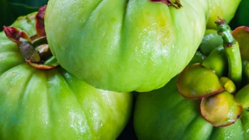 De voordelen van Garcinia Cambogia