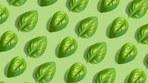 15 voedingsmiddelen met veel vitamine K