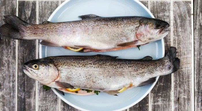 Two whole trout on a plate