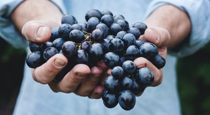 what is trans-resveratrol