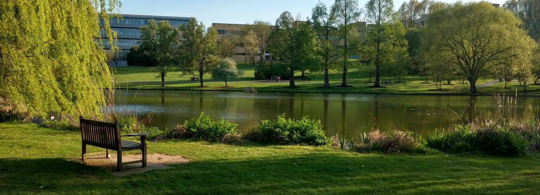 Lake and trees on the University of Surrey campus