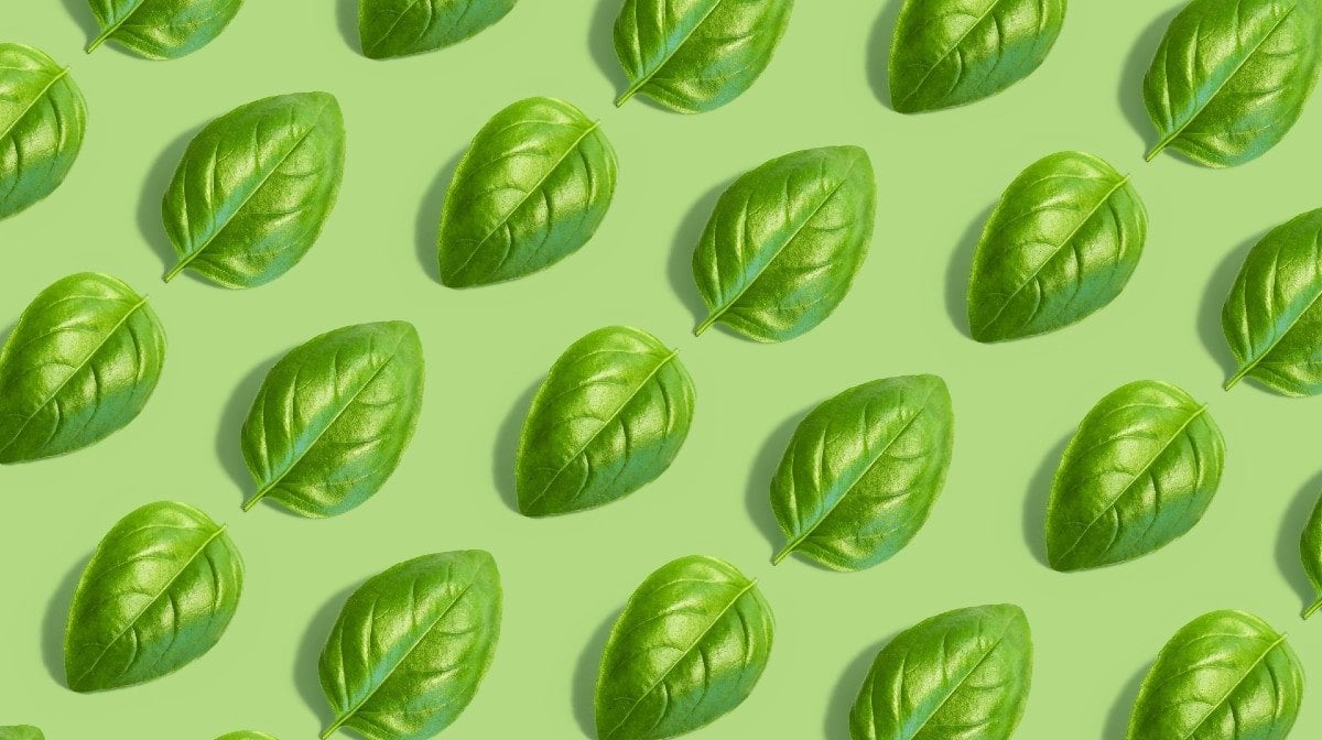 16 Foods High In Vitamin K