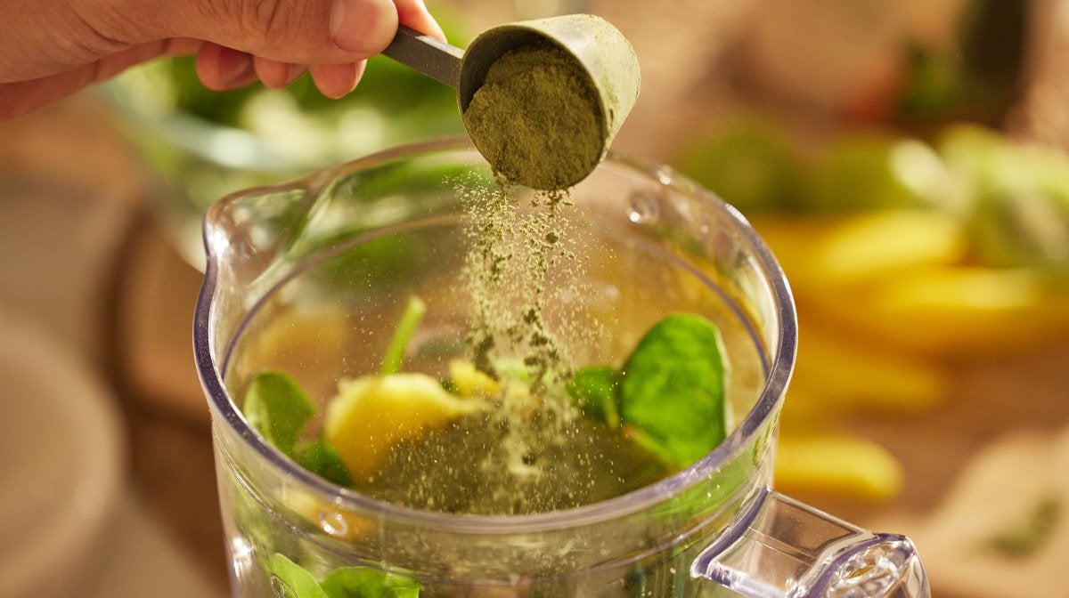 Probiotics & Prebiotics 101: What Are They?
