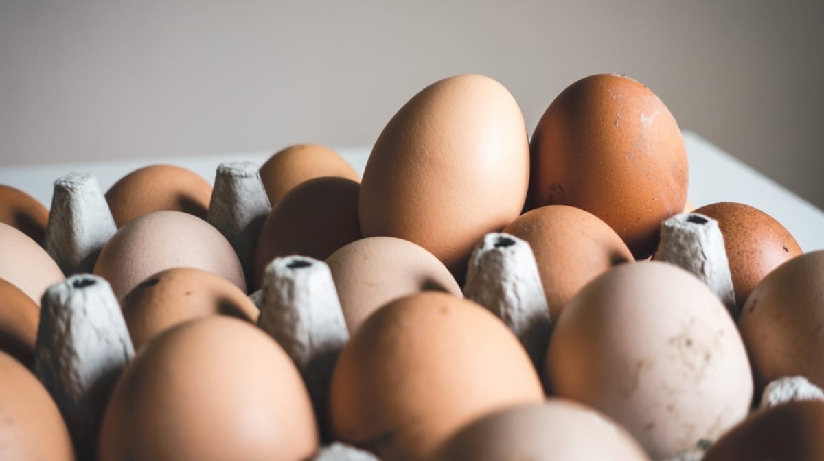 10 Natural Food Sources High in Amino Acids