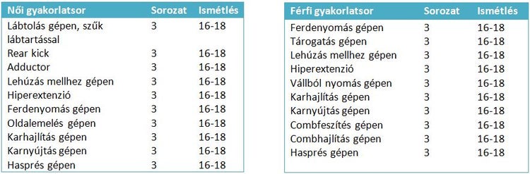 kezdo edzesterv
