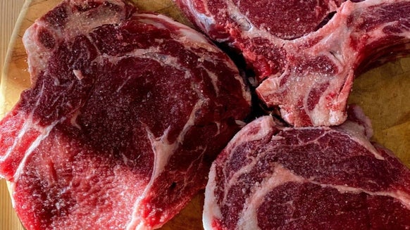 A carnivore diéta és ami mögötte van