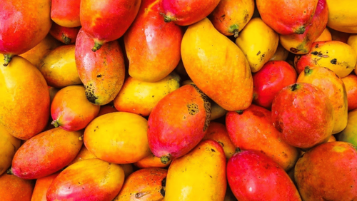 17 Foods High In Vitamin A