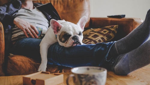 My Home Workouts Are Less Intense Than The Gym — Should I Take A Rest Day? | Your Questions Answered