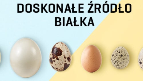 Jaja - doskonałe źródło białka | Jedz jaka na zdrowie | Źródło witamin