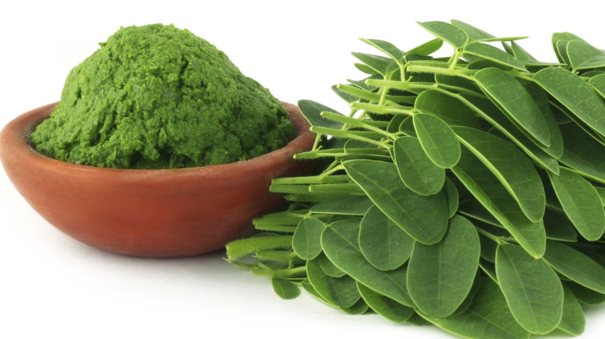 Moringa - Czym jest Herbata Moringa? Jakie są jej korzyści?
