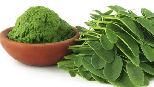 Moringa - Czym jest Herbata Moringa? Jakie są jej korzyści?