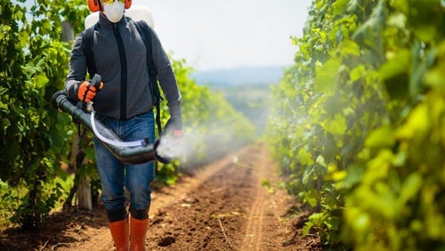 Pesticide Use Linked To Weight Gain In Mice, Study Reveals
