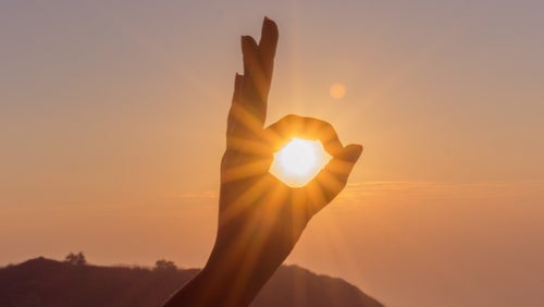 5 Foods High In Vitamin D