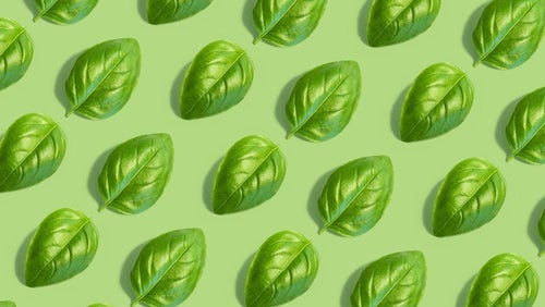 15 Foods High In Vitamin K