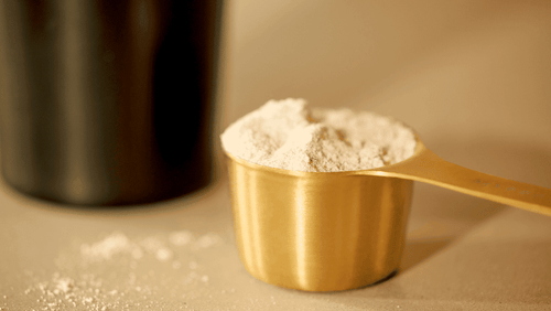 The Ultimate Nutrition Christmas Gift Guide