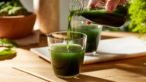 The Importance Of Gut Health