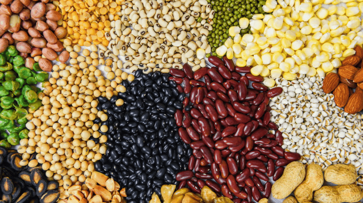 The Benefits of Fibre: Why the "Forgotten Carbohydrate" Matters