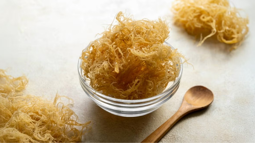 Sea Moss: What It Is & Nutritional Benefits