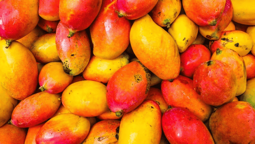 17 Foods High In Vitamin A