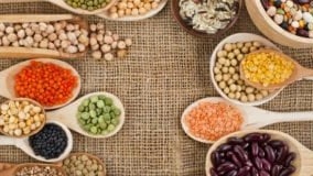 Top 9 Vegetarian & Vegan Protein Sources