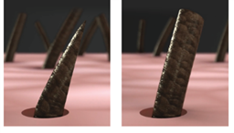 Close up of a shaved hair follicle | Gillette UK