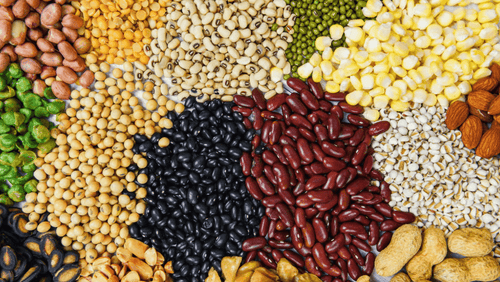 The Benefits of Fibre: Why the "Forgotten Carbohydrate" Matters