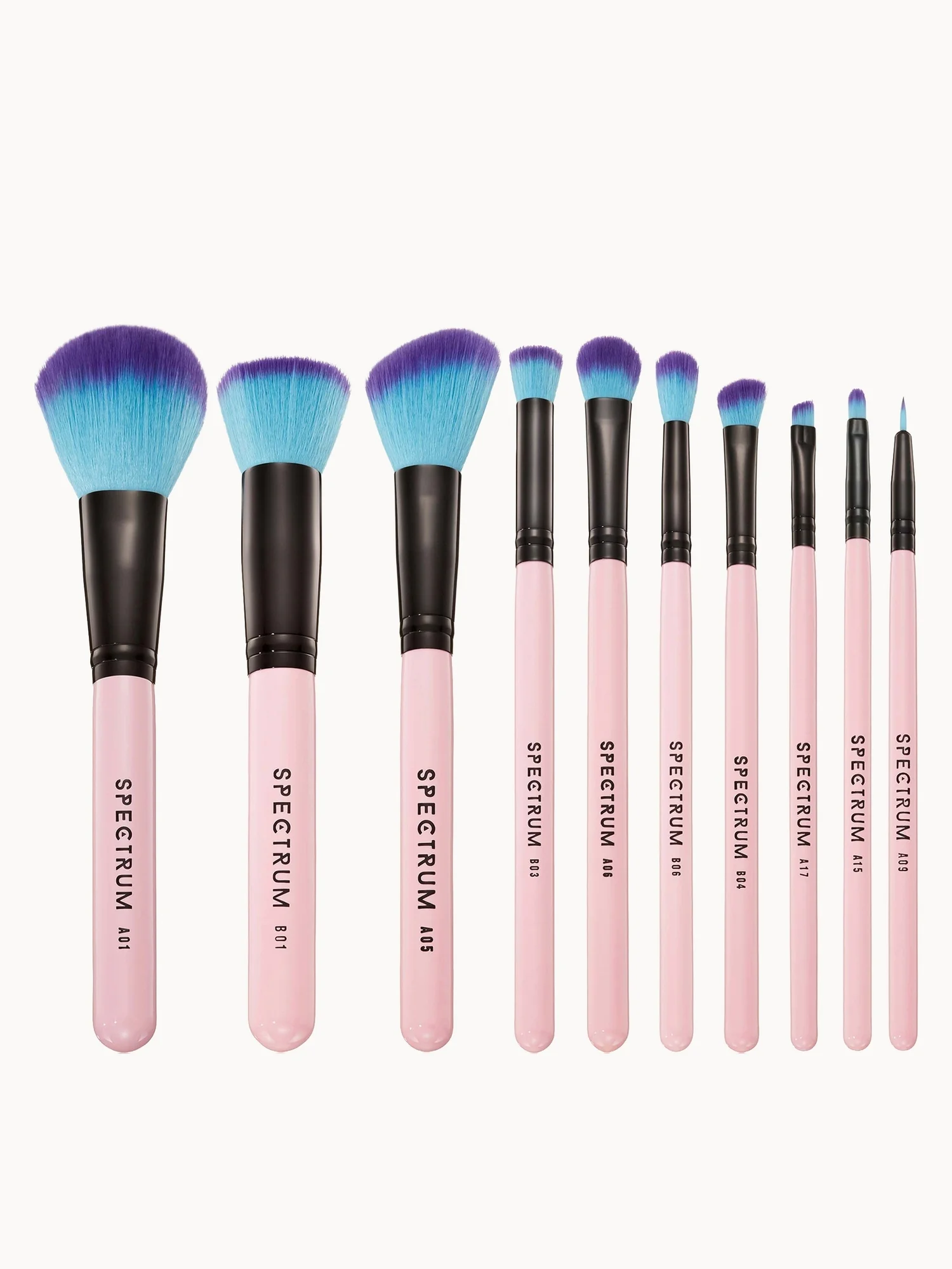 Spectrum Collections 10 Piece Essential Brush Set