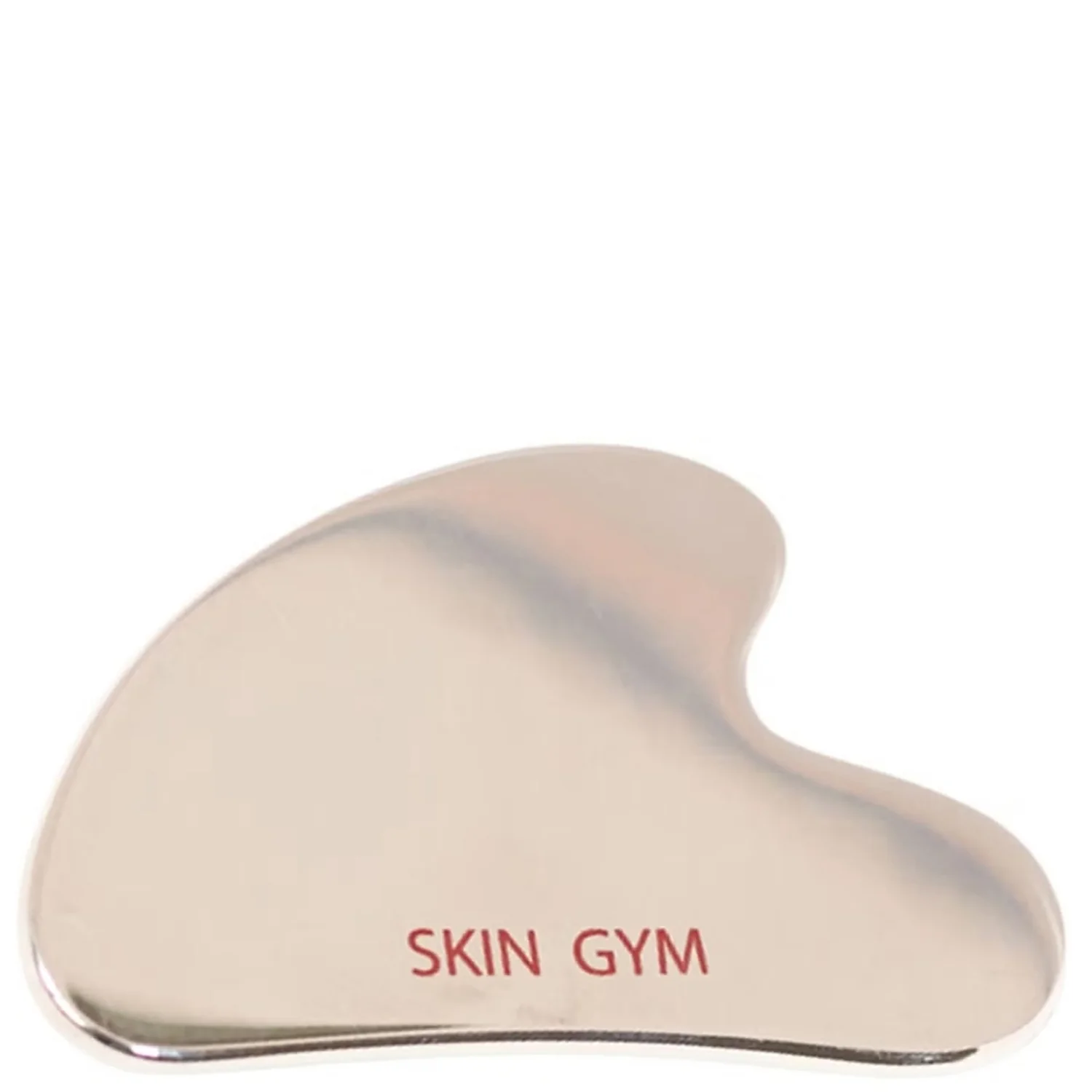 Stainless Steel Gua Sha product image