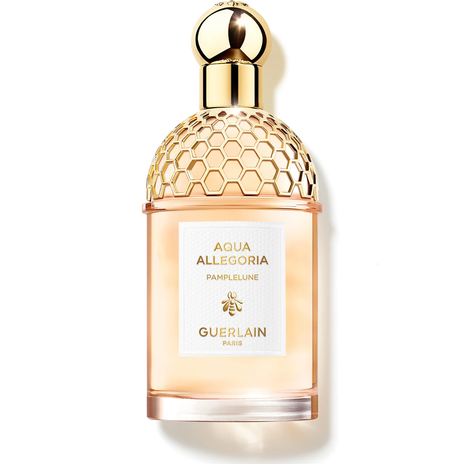 Aqua Allegoria Pamplelune