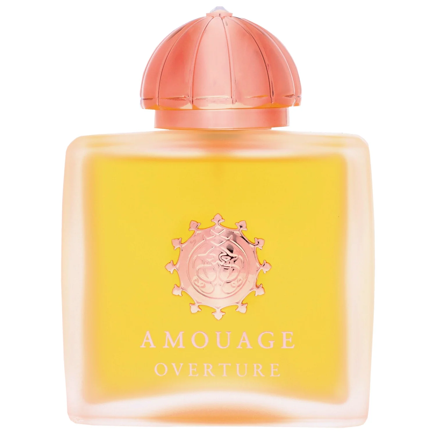 Amouage Overture Woman Eau de Parfum Spray 100ml