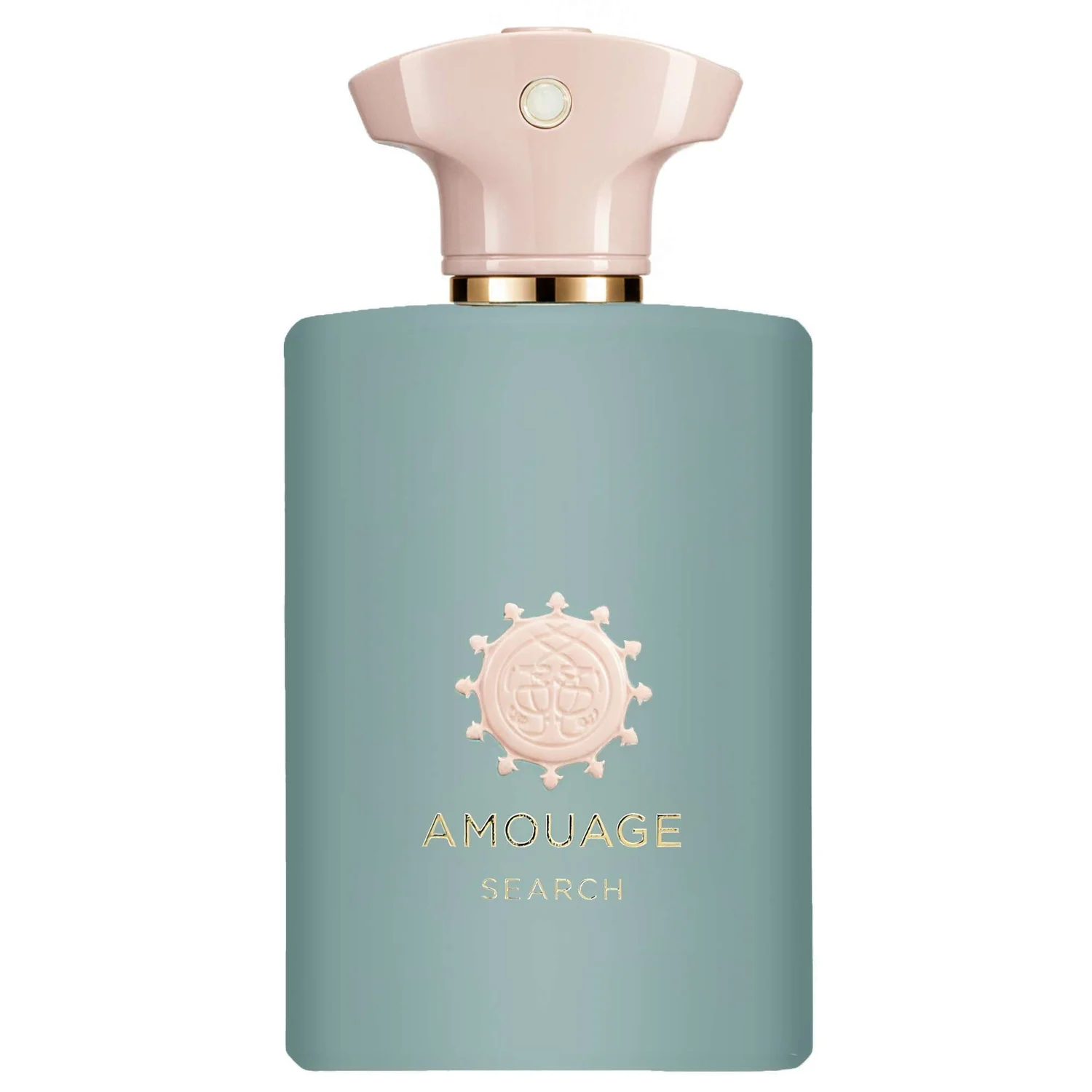 Amouage Search Man Eau de Parfum Spray 100ml