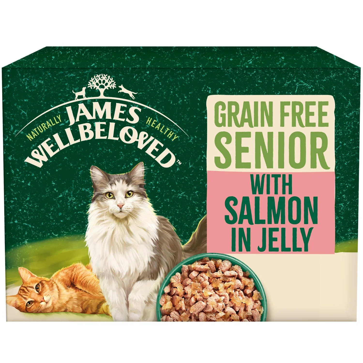 Senior Jelly Grain Free Wet Cat Food Pouches